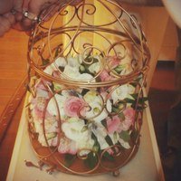 Свадьбы.&nbsp;Ведущая Изабель : 