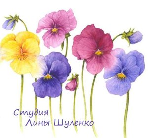 Студия Лины Шуленко