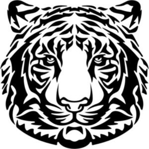 Видеосъемка и монтаж KEVLARSTUDIO