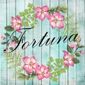 Fortuna