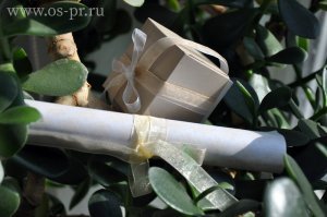 Особое приглашение